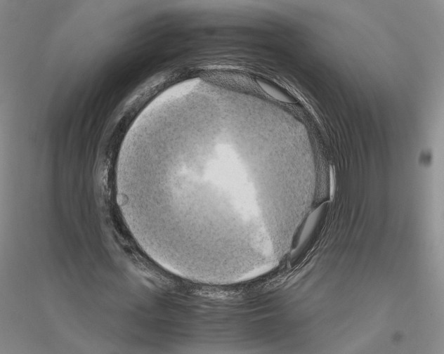 X0000116800723201001291539