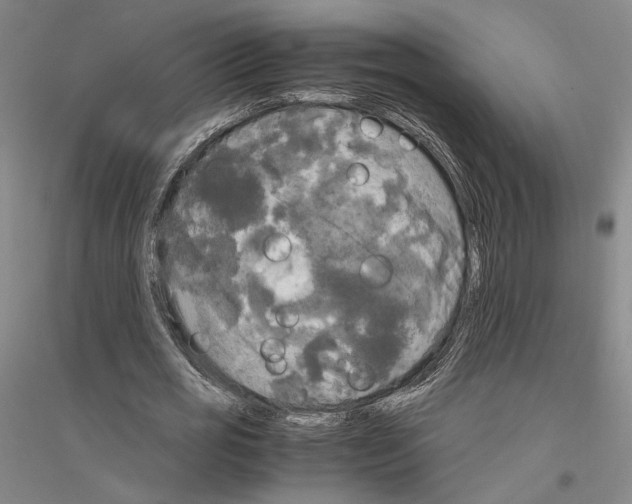 X0000116800725201001291540