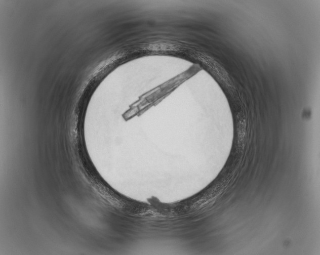 X0000116800727201001291540