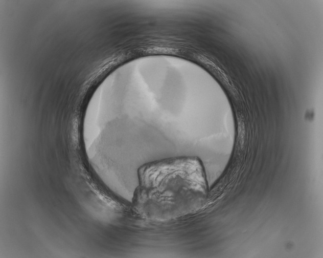 X0000116800729201001291540