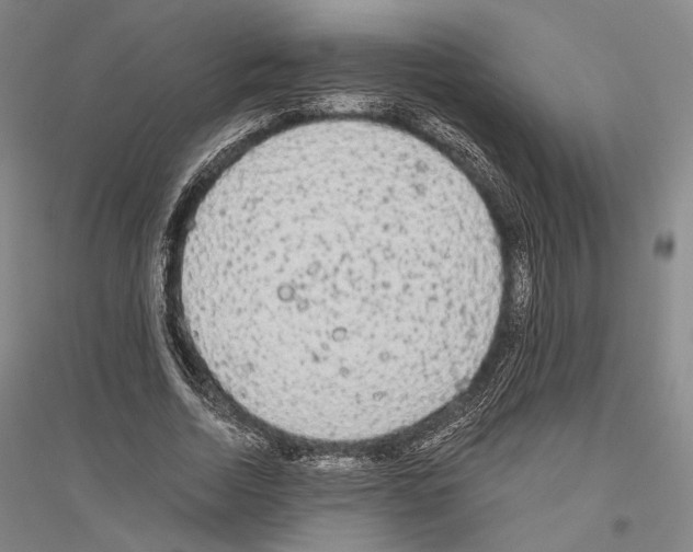 X0000116800730201001291540