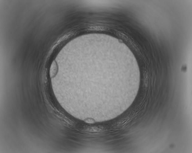 X0000116800731201001291540