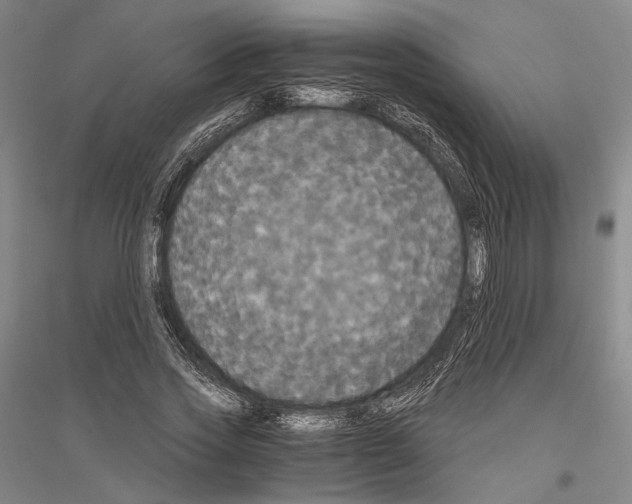 X0000116800733201001291540