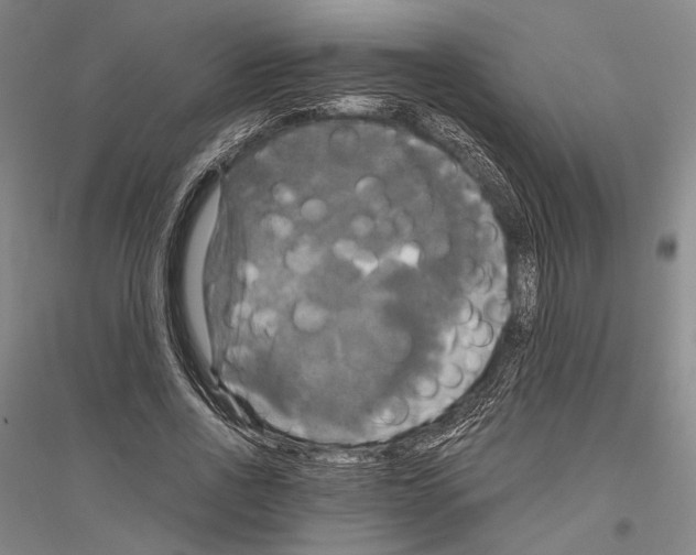 X0000116800734201001291540