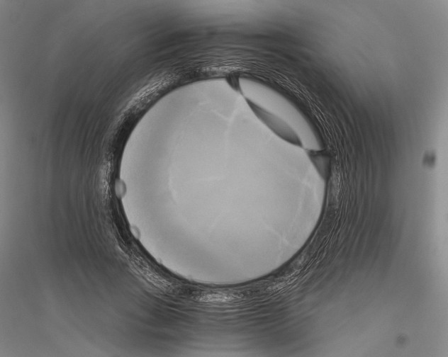 X0000116800735201001291540