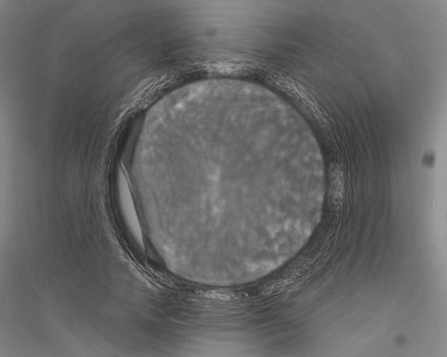 X0000116800738201001291540