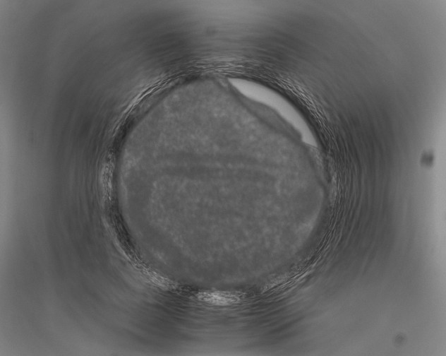 X0000116800739201001291540