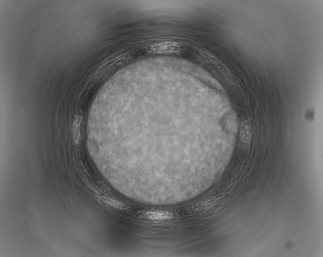 X0000116800741201001291540