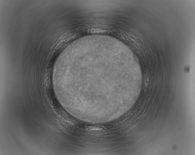 X0000116800743201001291540