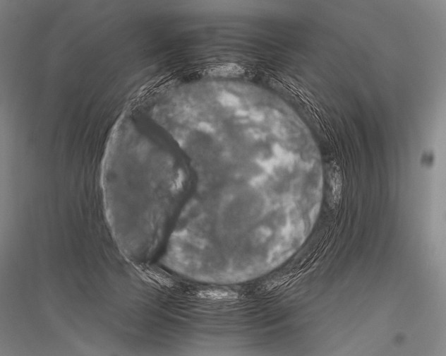 X0000116800745201001291540