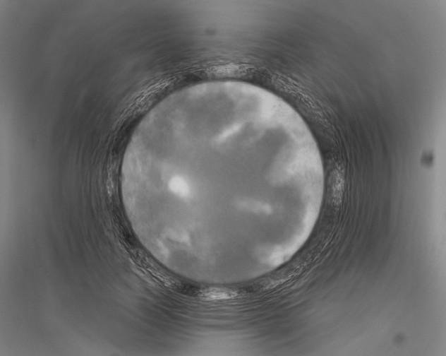 X0000116800746201001291540