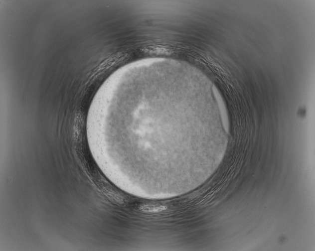 X0000116800747201001291540