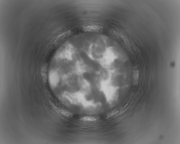 X0000116800749201001291540