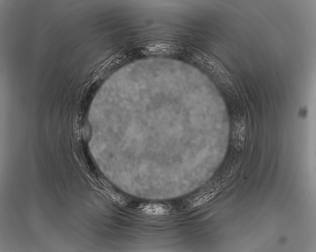 X0000116800751201001291540