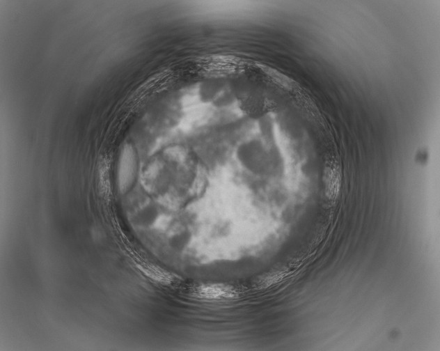 X0000116800753201001291540
