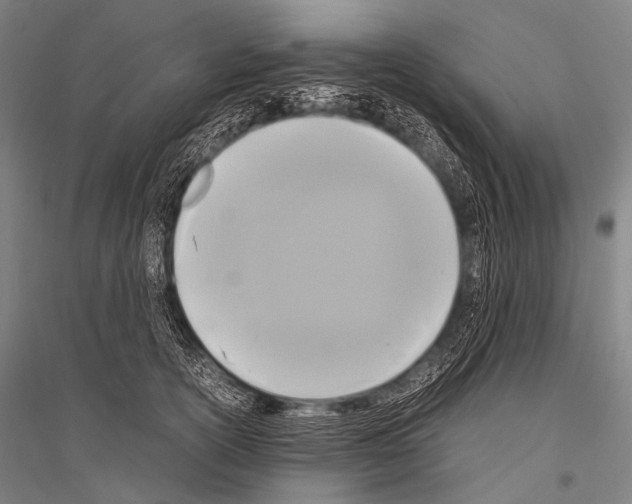 X0000116800754201001291540