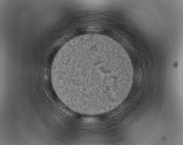 X0000116800755201001291540