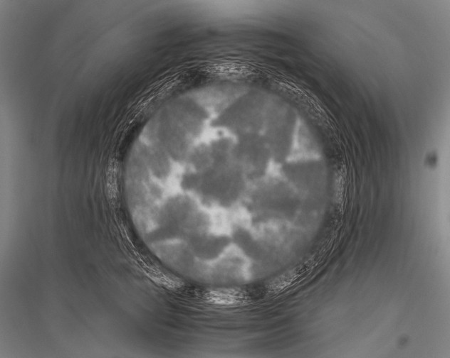 X0000116800757201001291540