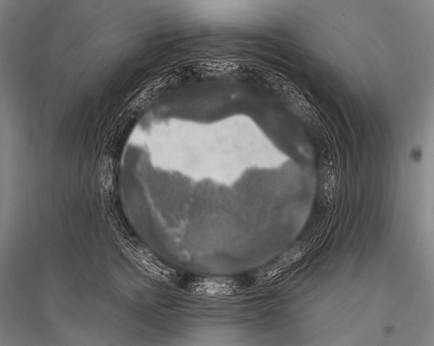 X0000116800758201001291540