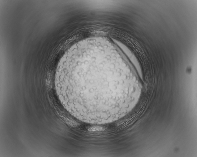 X0000116800759201001291540