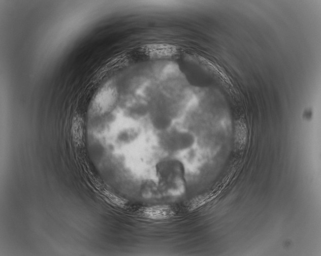 X0000116800761201001291540