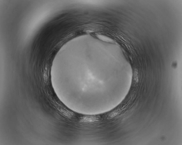 X0000116800763201001291540