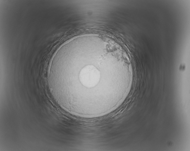 X0000116800769201001291539