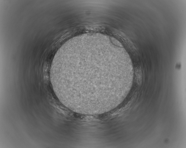 X0000116800770201001291539