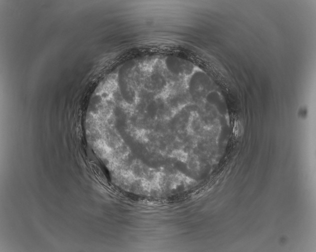 X0000116800771201001291539