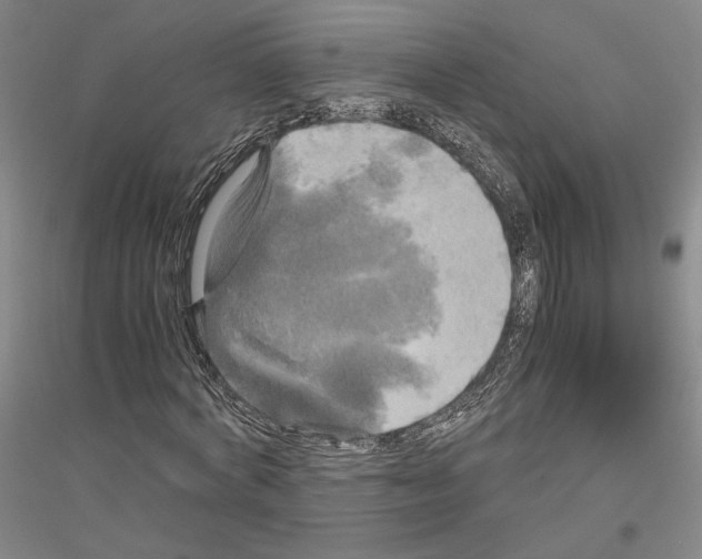 X0000116800772201001291539