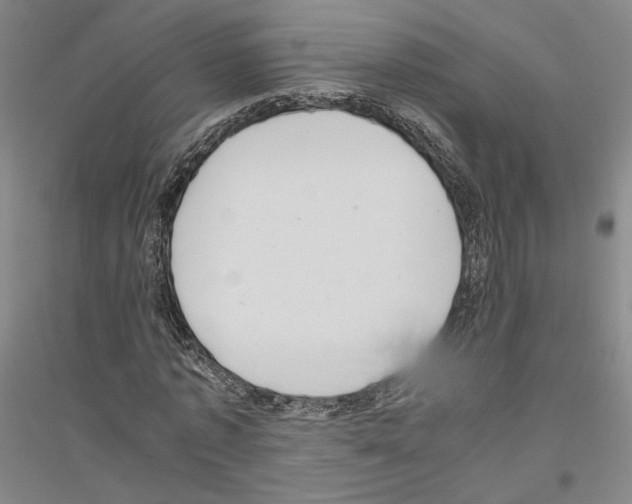 X0000116800773201001291539