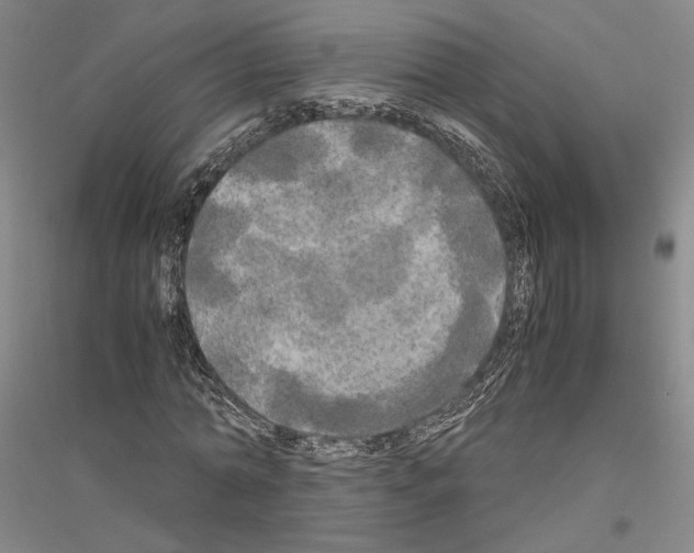 X0000116800774201001291539