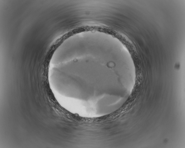 X0000116800775201001291539