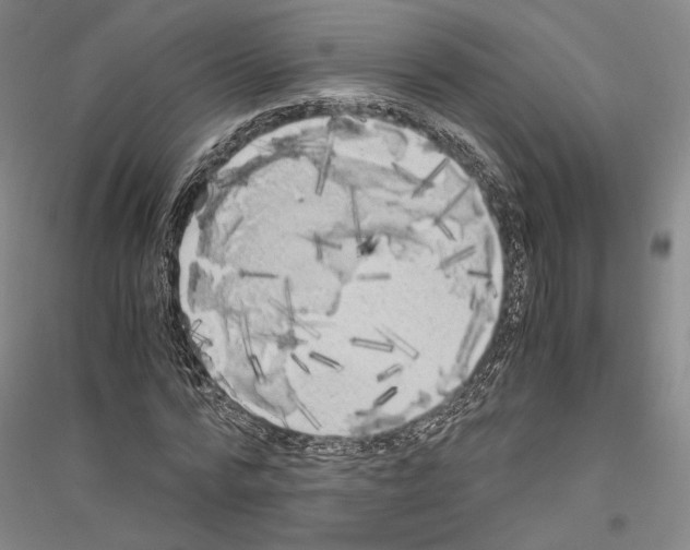 X0000116800776201001291539