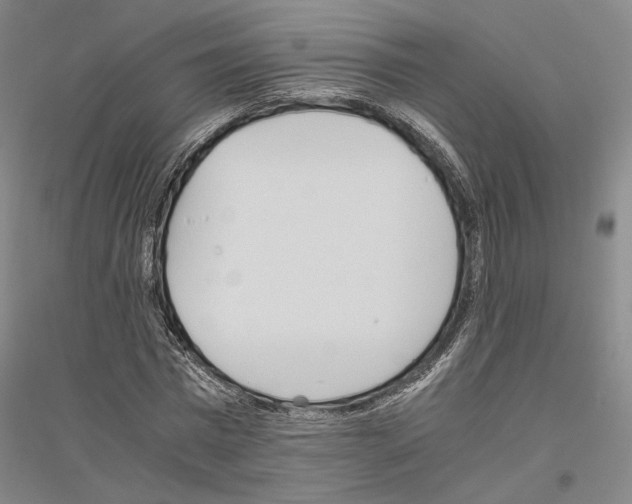 X0000116800777201001291539