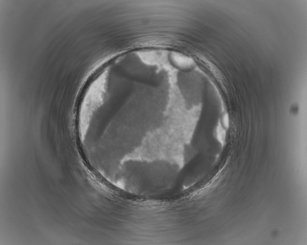 X0000116800779201001291539
