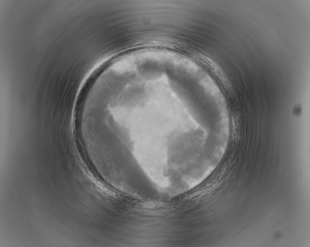 X0000116800780201001291539