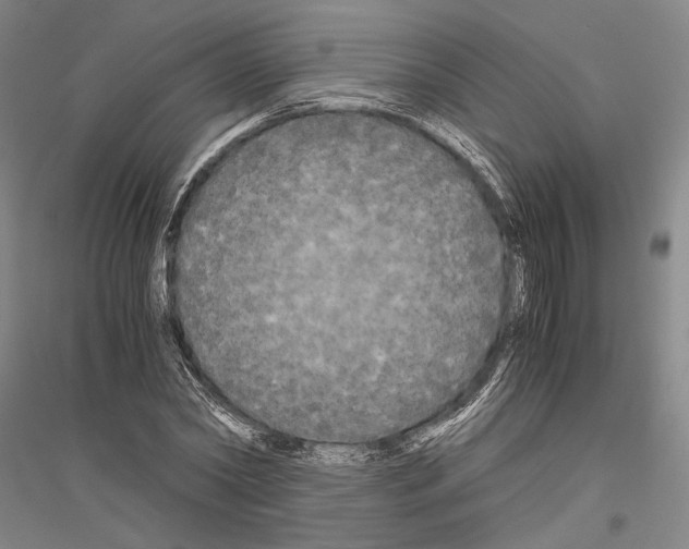 X0000116800782201001291539