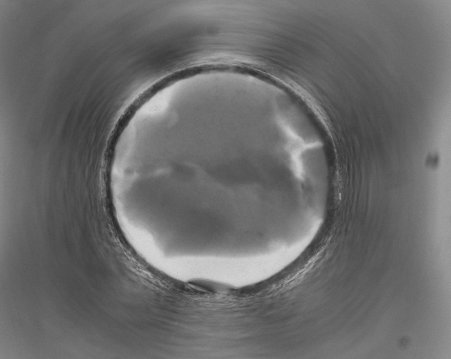 X0000116800783201001291539
