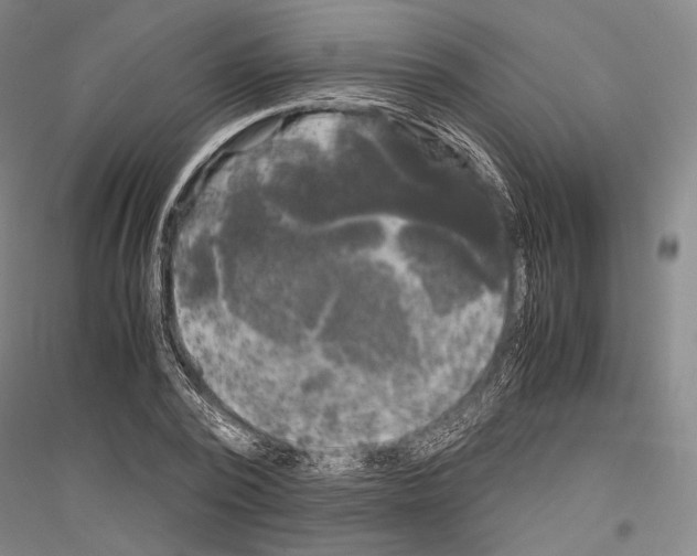 X0000116800784201001291539