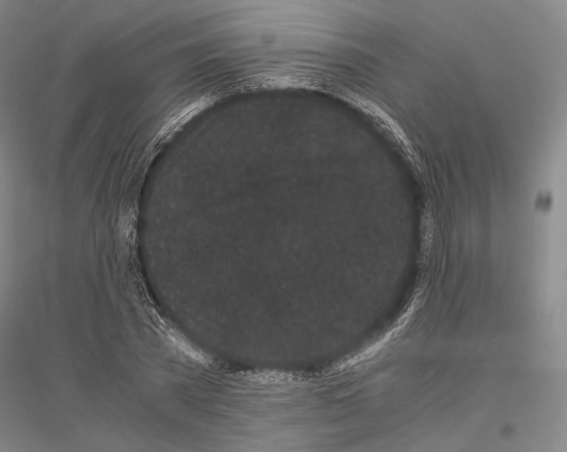 X0000116800785201001291539