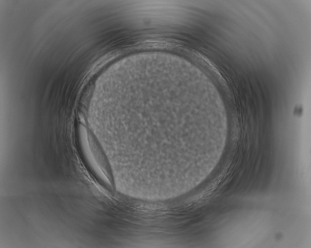 X0000116800786201001291539