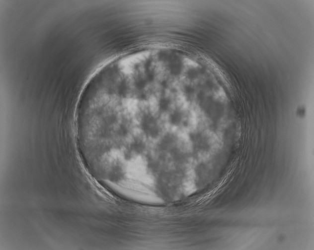 X0000116800787201001291539