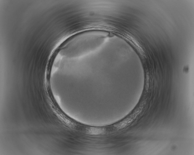 X0000116800788201001291539