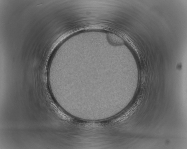 X0000116800789201001291539