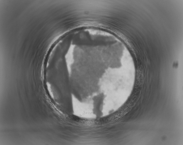 X0000116800791201001291539