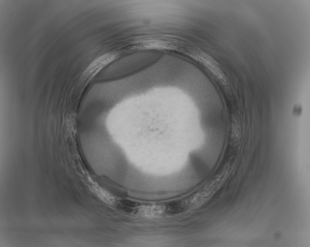 X0000116800793201001291539