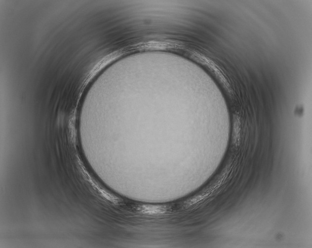 X0000116800794201001291539
