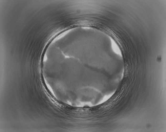 X0000116800795201001291539