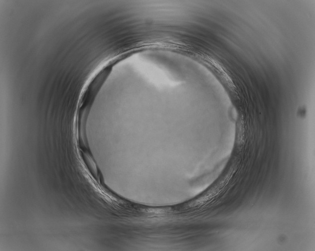 X0000116800796201001291539